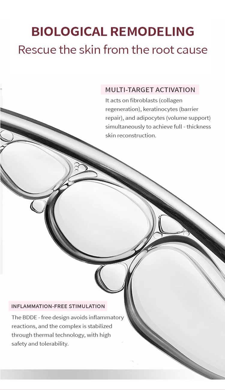 Salmon PDRN 12 Day Ampoule